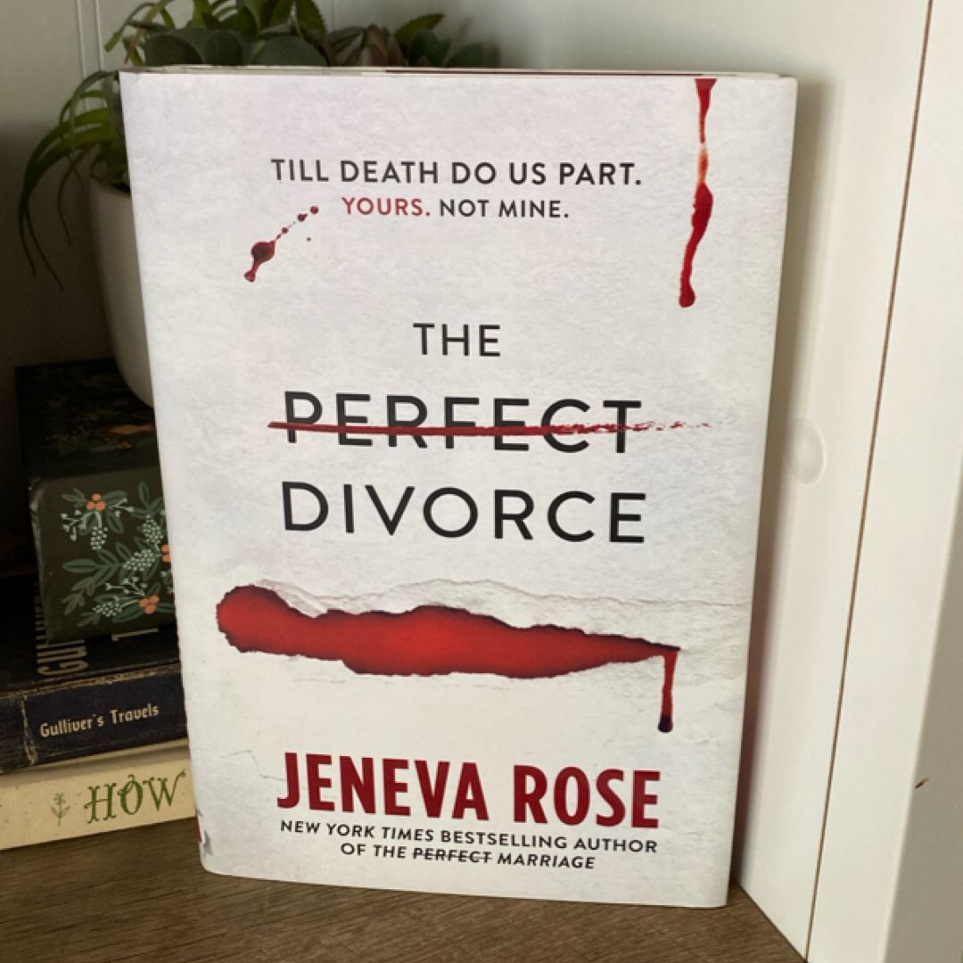 The Perfect Divorce