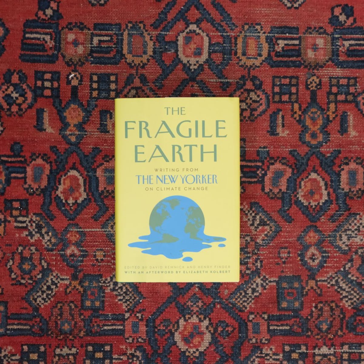 The Fragile Earth by David Remnick, Henry Finder