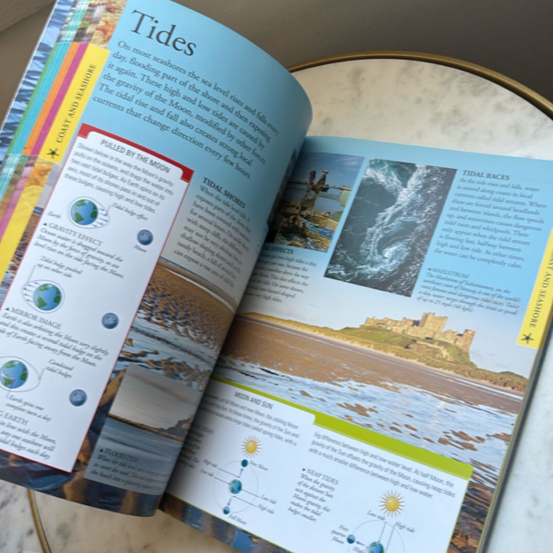 Ocean: a Visual Encyclopedia