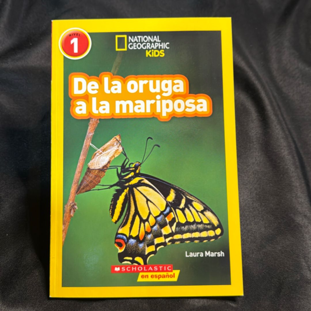 De la oruga a la mariposa