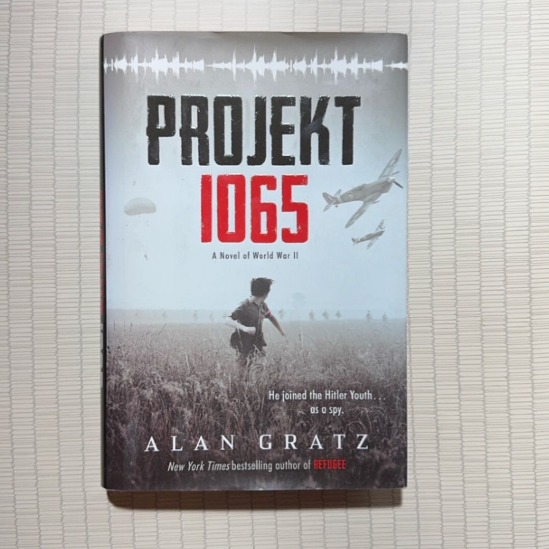 Projekt 1065