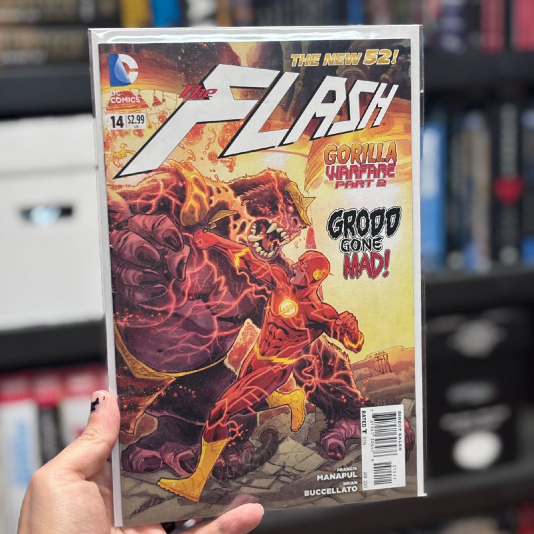 The Flash #14