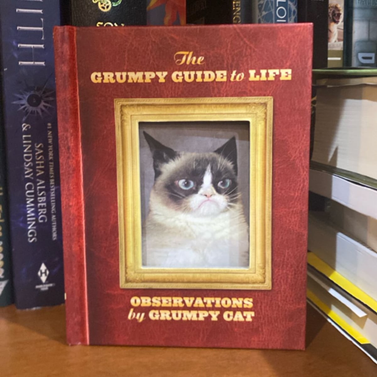The Grumpy Guide to Life by Grumpy Cat