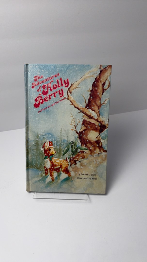 The Adventures of Holly Berry vtg 1983