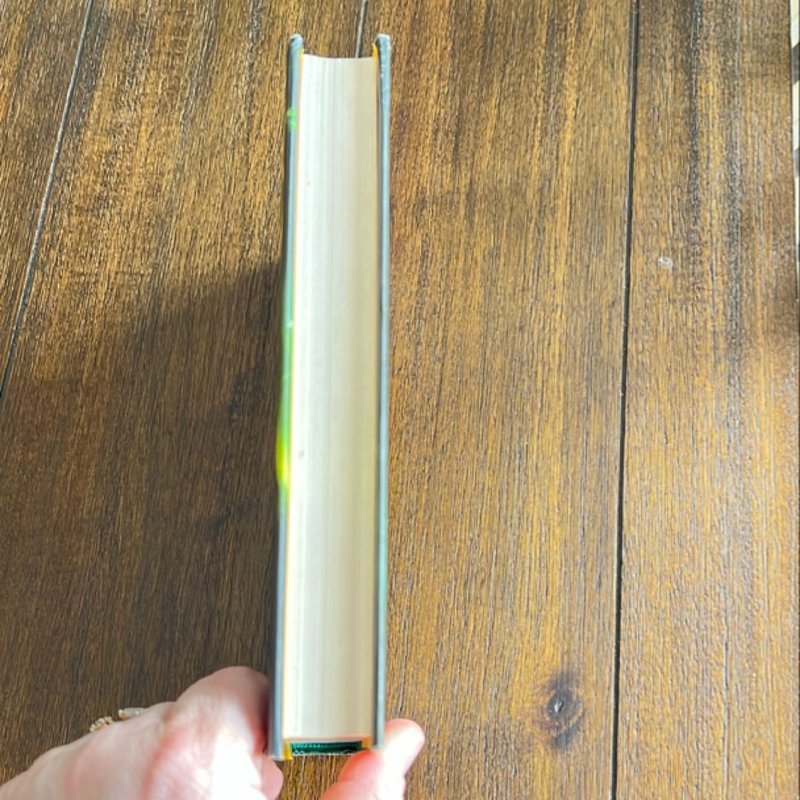 Warriors: a Vision of Shadows #6: the Raging Storm