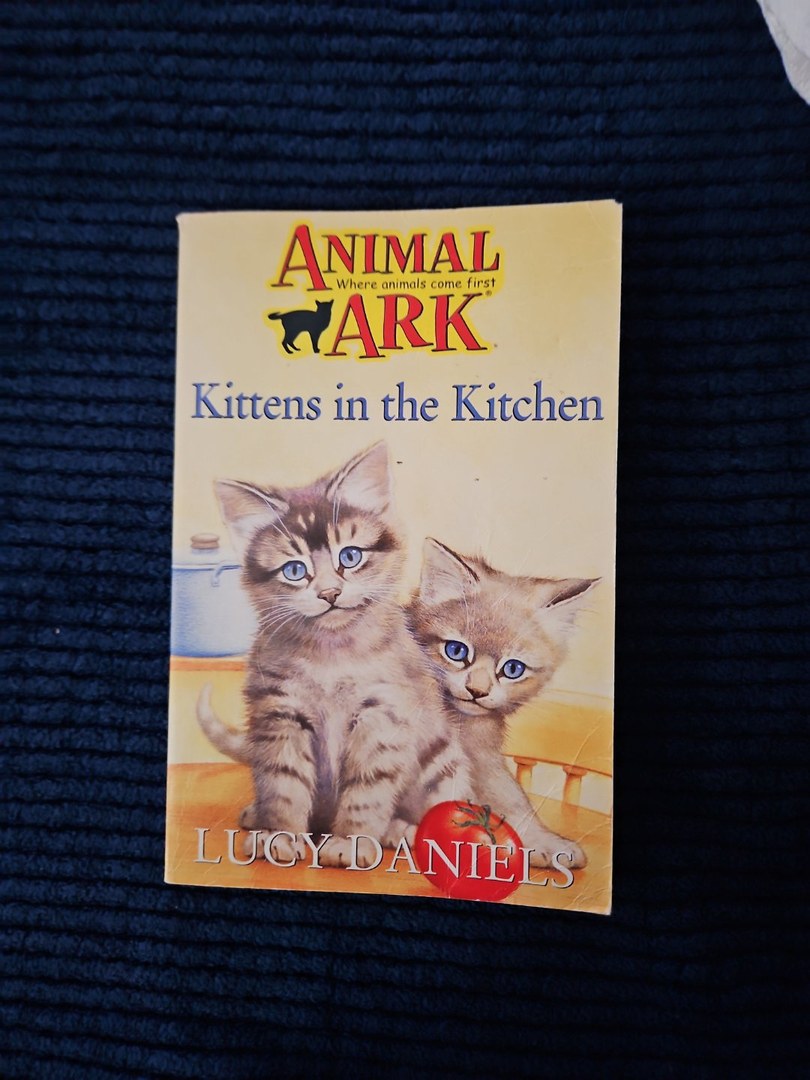 Kittens in the Kitchen