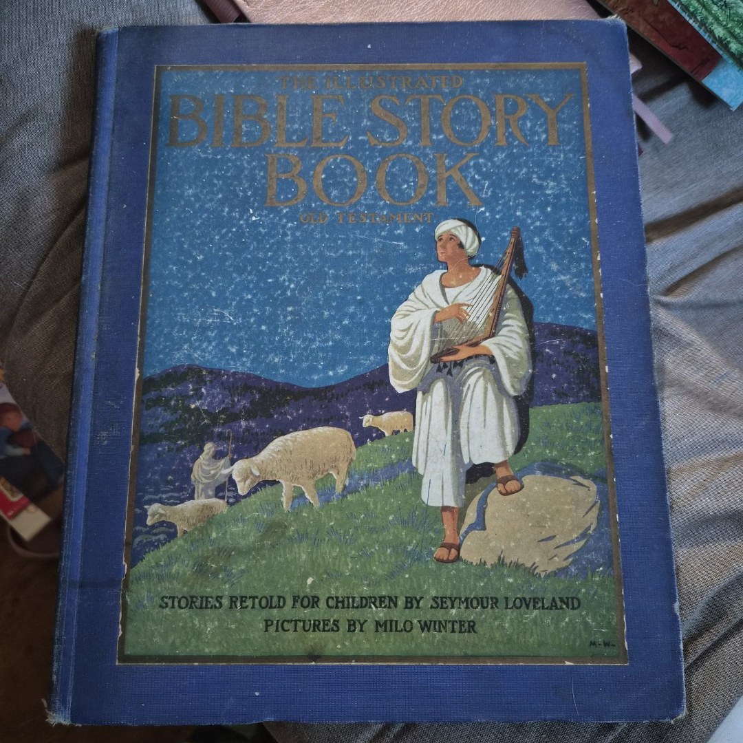 The Illustrated Bible Story Book