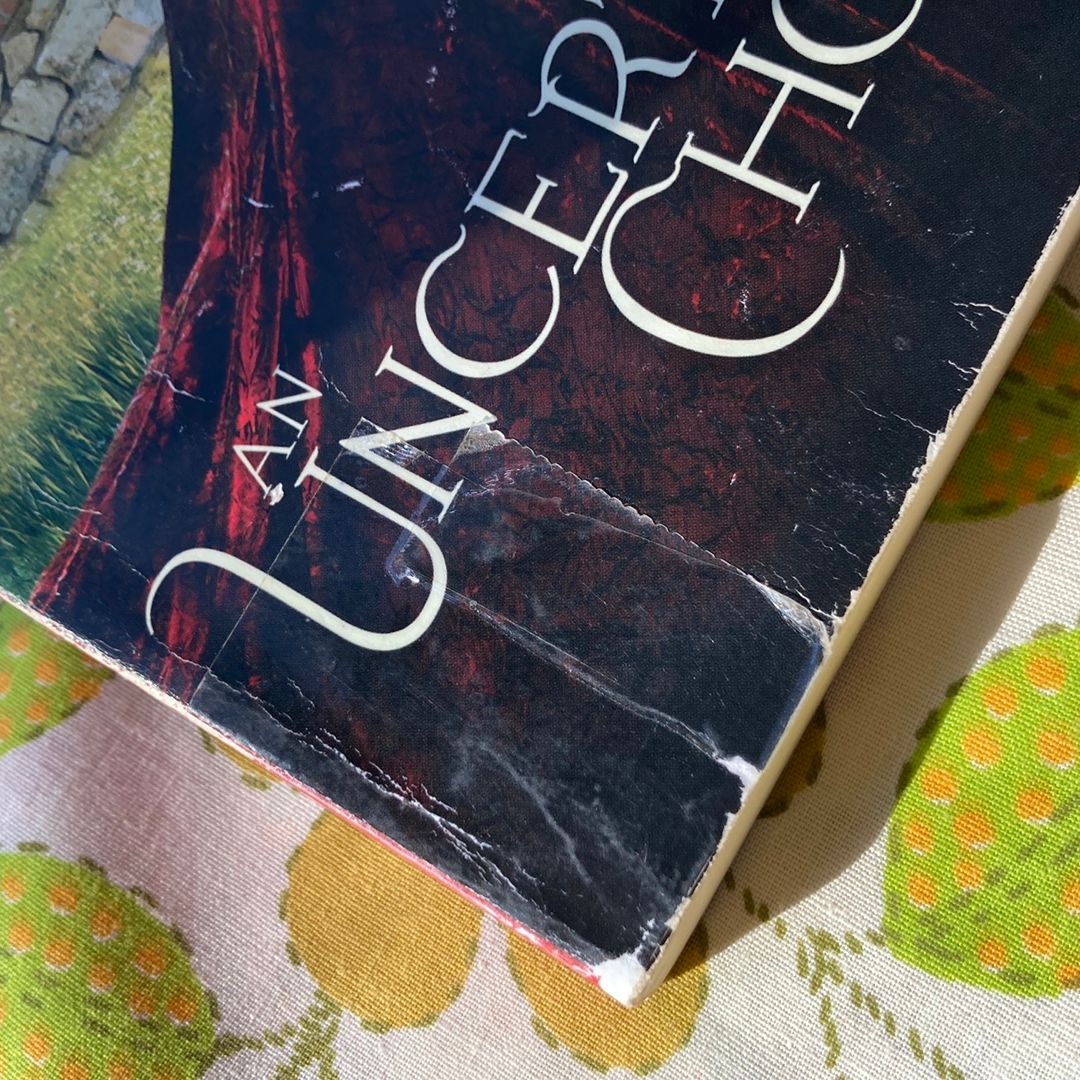 An Uncertain Choice