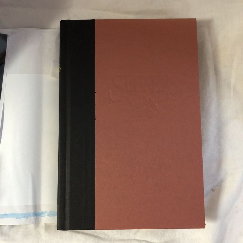 Seekers #3: Smoke Mountain