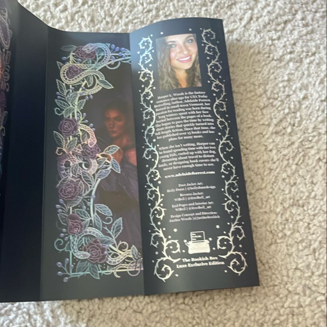 What lies beyond the Veil bookish box exclusive edition jacket