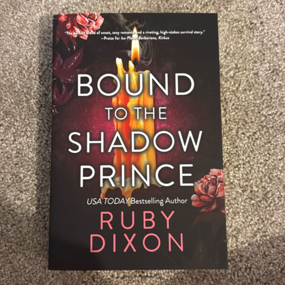 Bound to the Shadow Prince