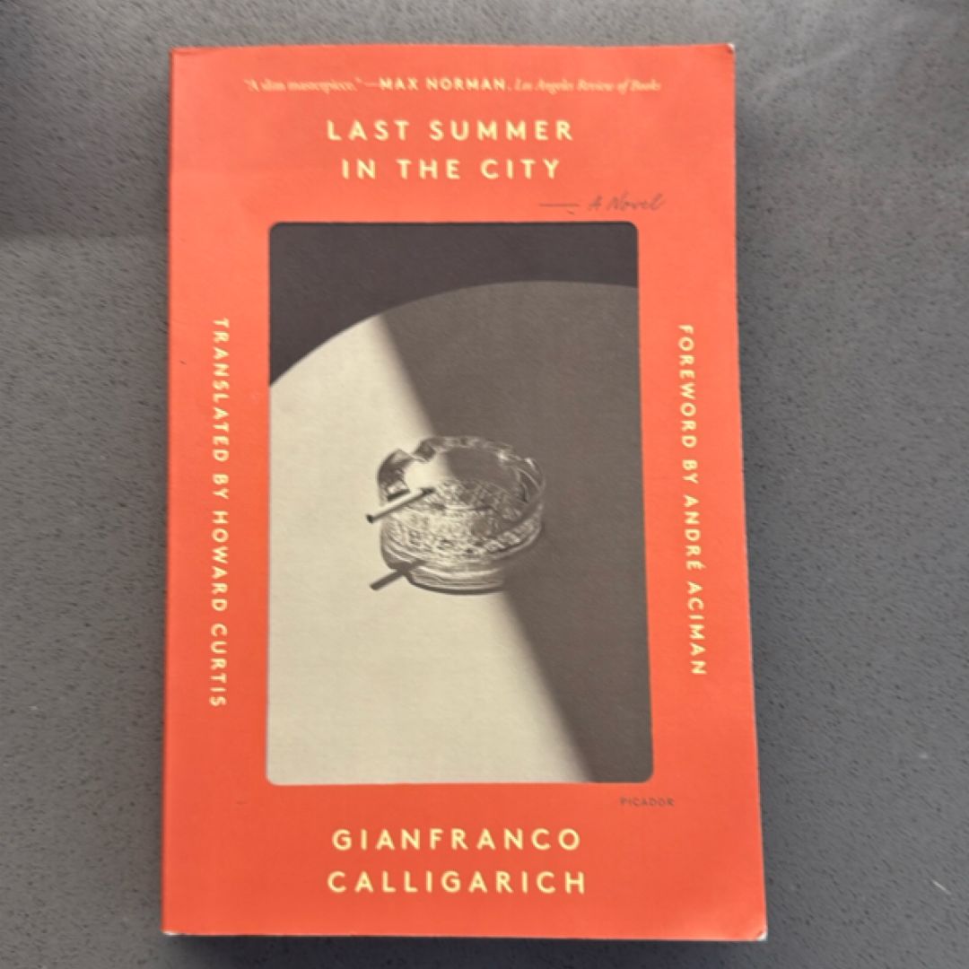 Last Summer in the City