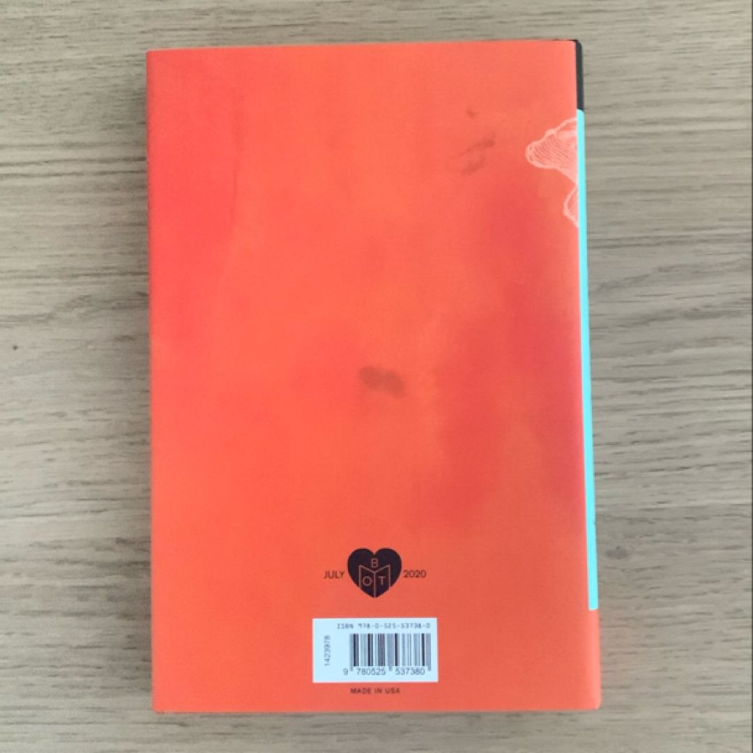 The Beauty in Breaking