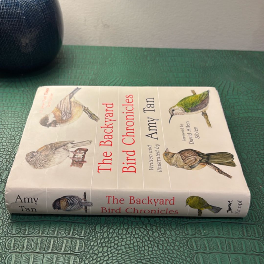 The Backyard Bird Chronicles