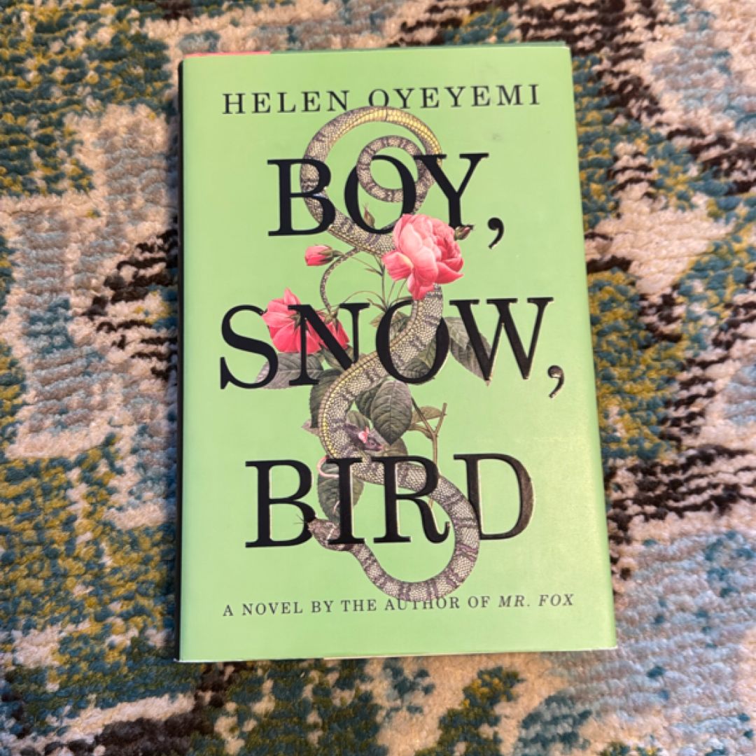 Boy, Snow, Bird