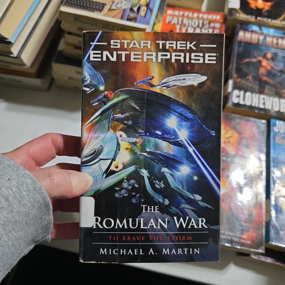 The Romulan War: to Brave the Storm