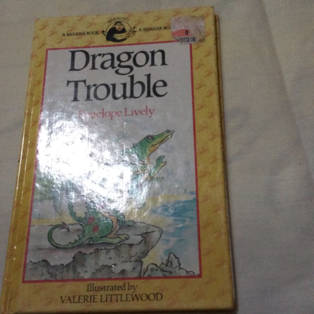 Dragon Trouble