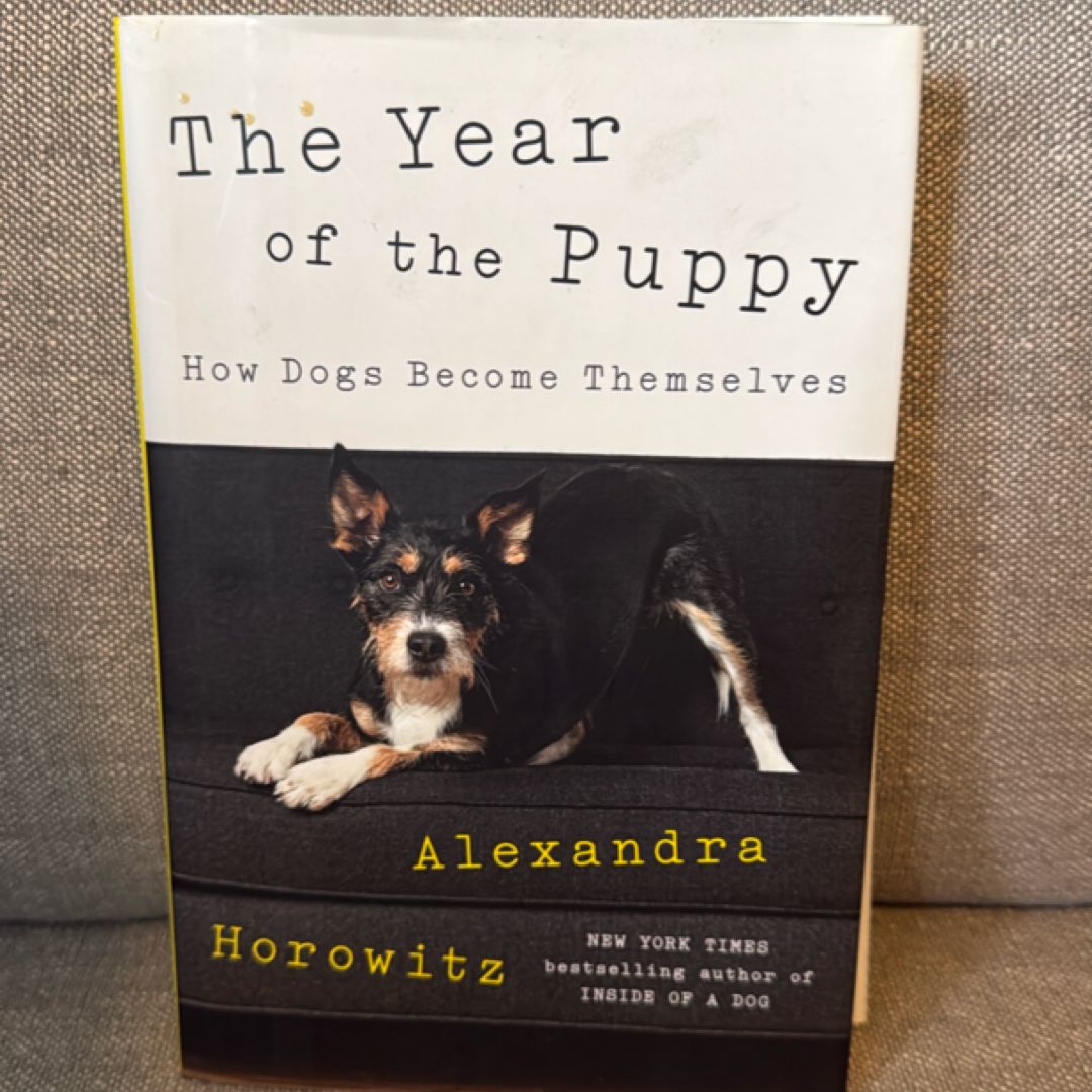 The Year of the Puppy