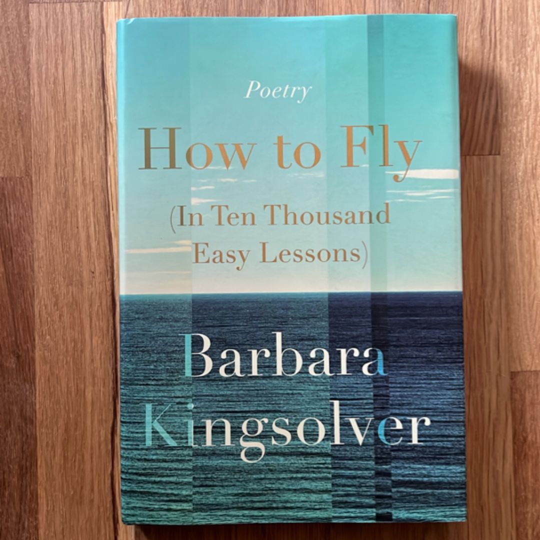 How to Fly (in Ten Thousand Easy Lessons)