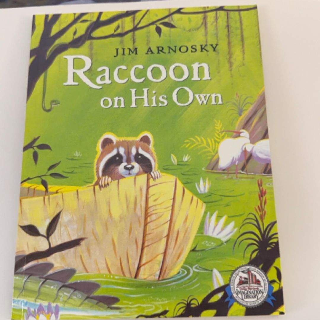Raccoon on His Own