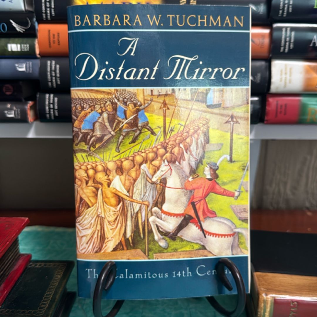 A Distant Mirror