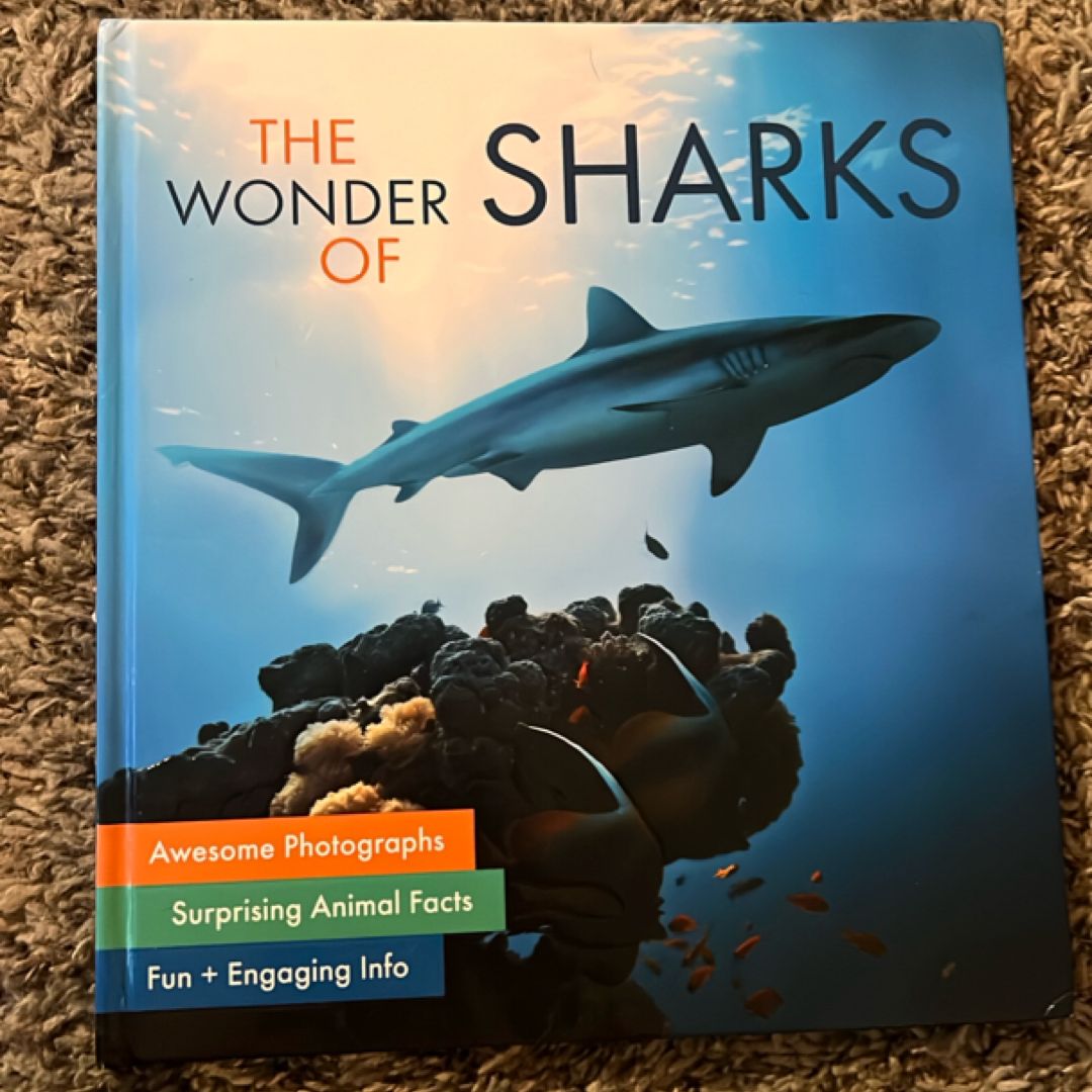 The Wonder of Sharks