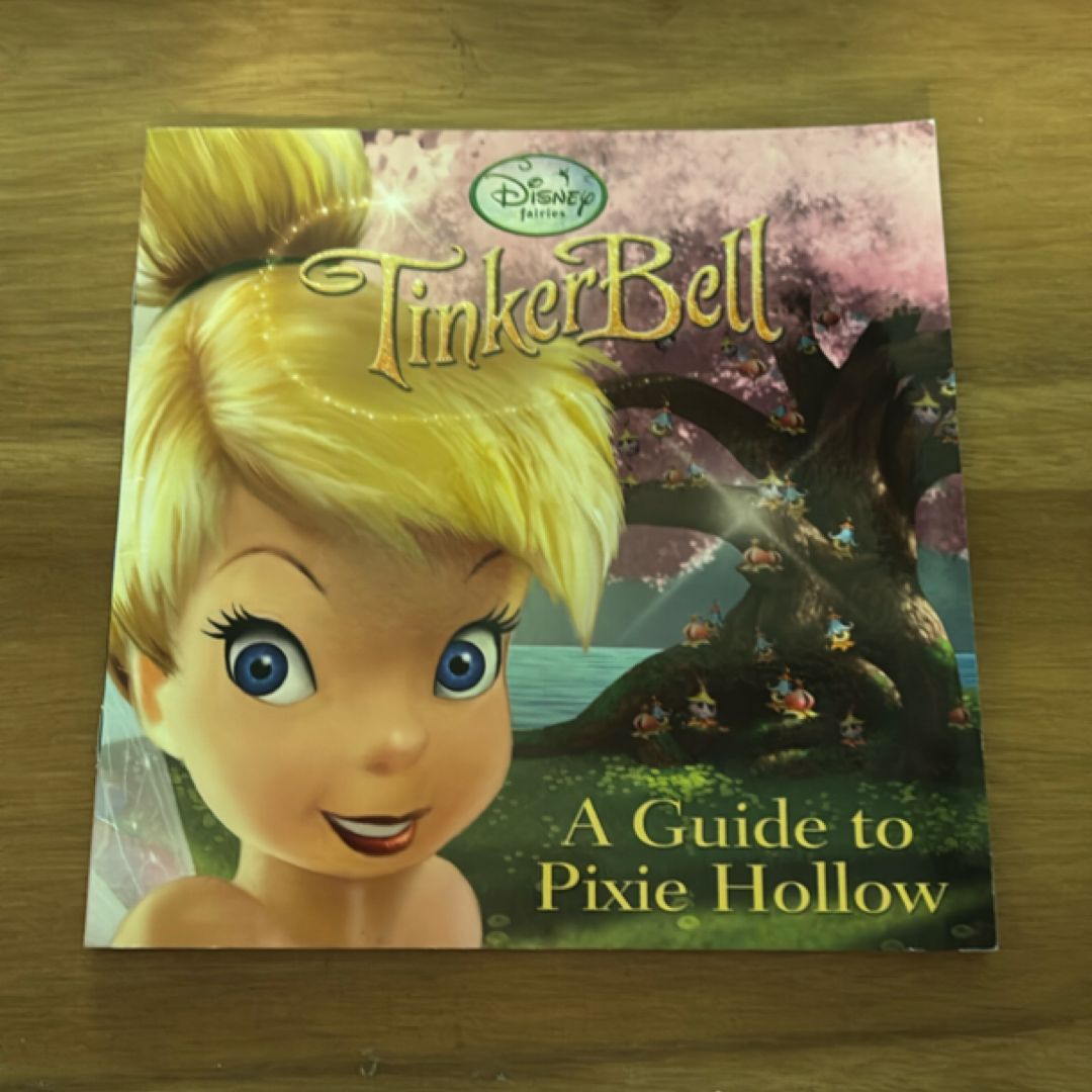 A Guide to Pixie Hollow