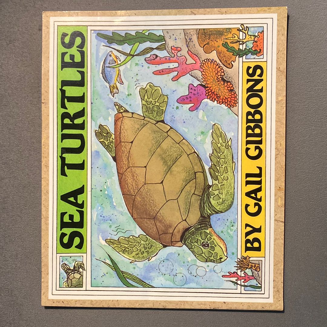 Sea Turtles (New and Updated)