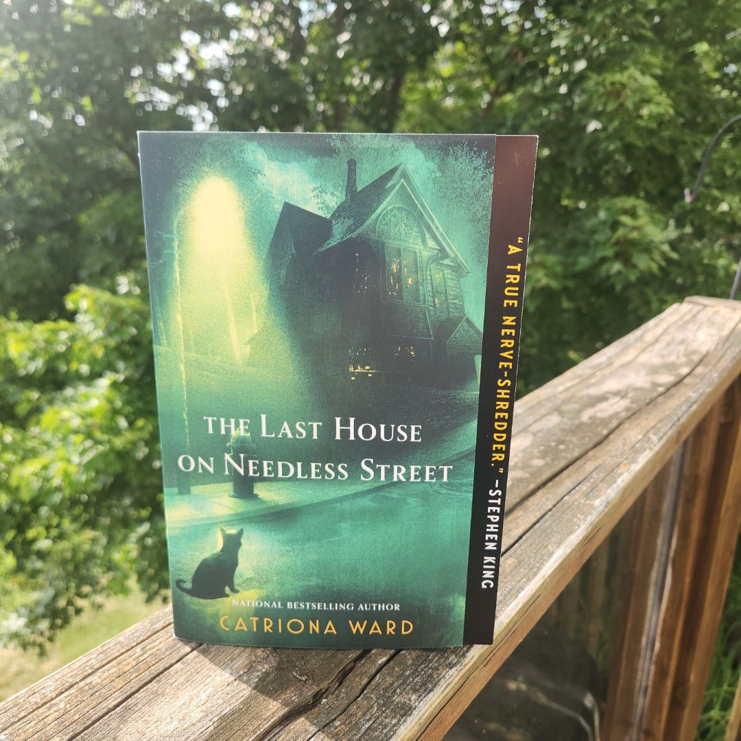 The Last House on Needless Street