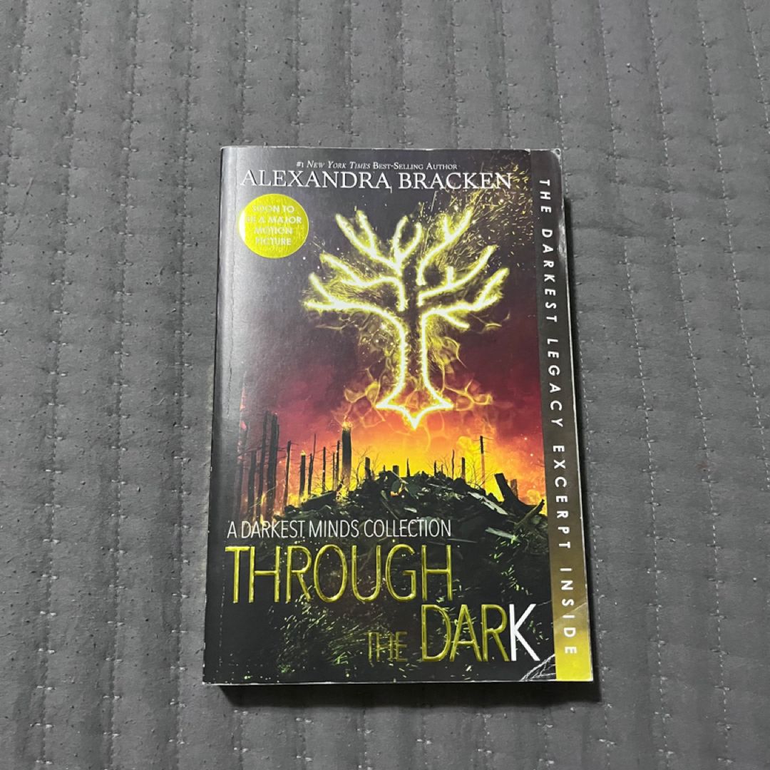 Through the Dark (Bonus Content) (a Darkest Minds Collection)