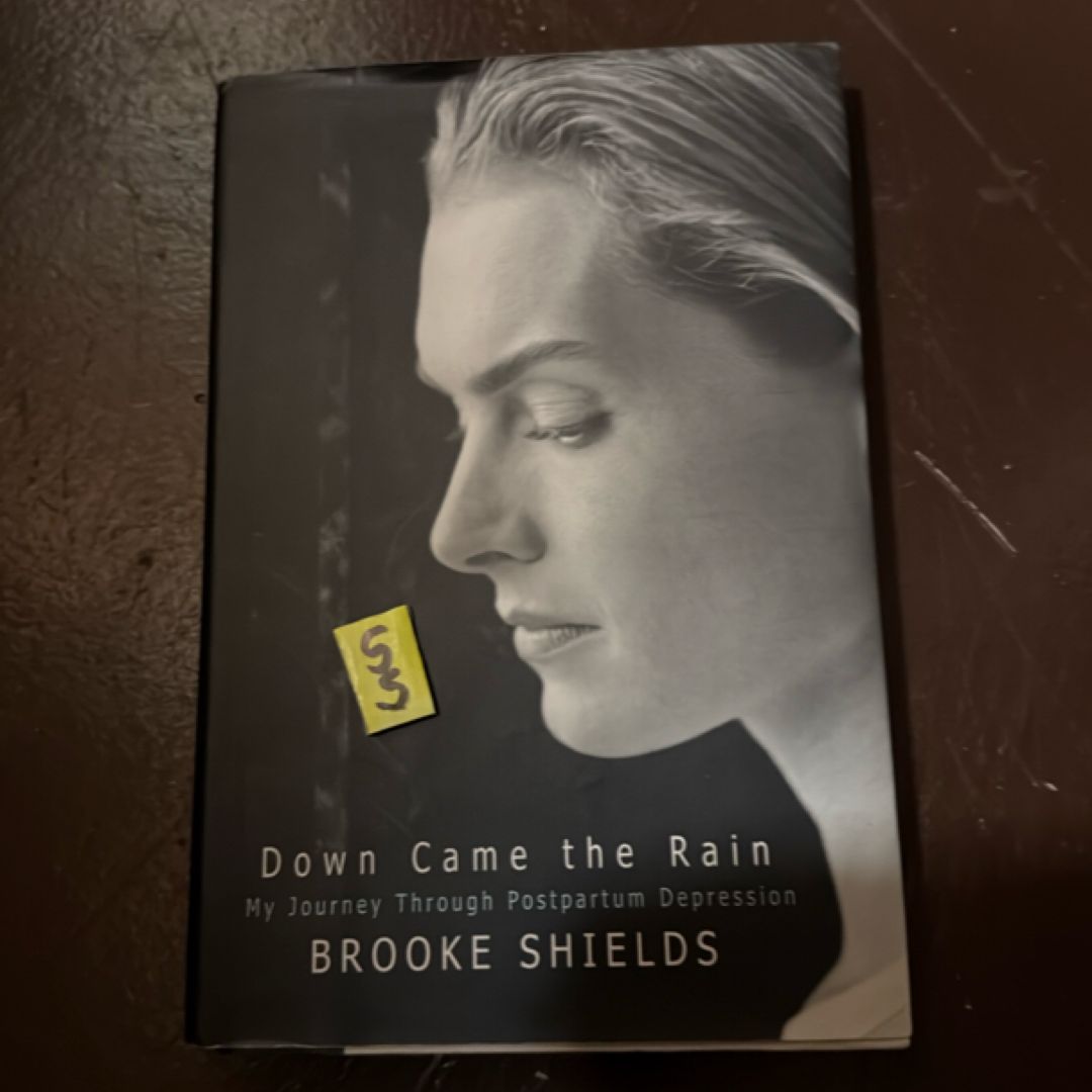 Down Came the Rain