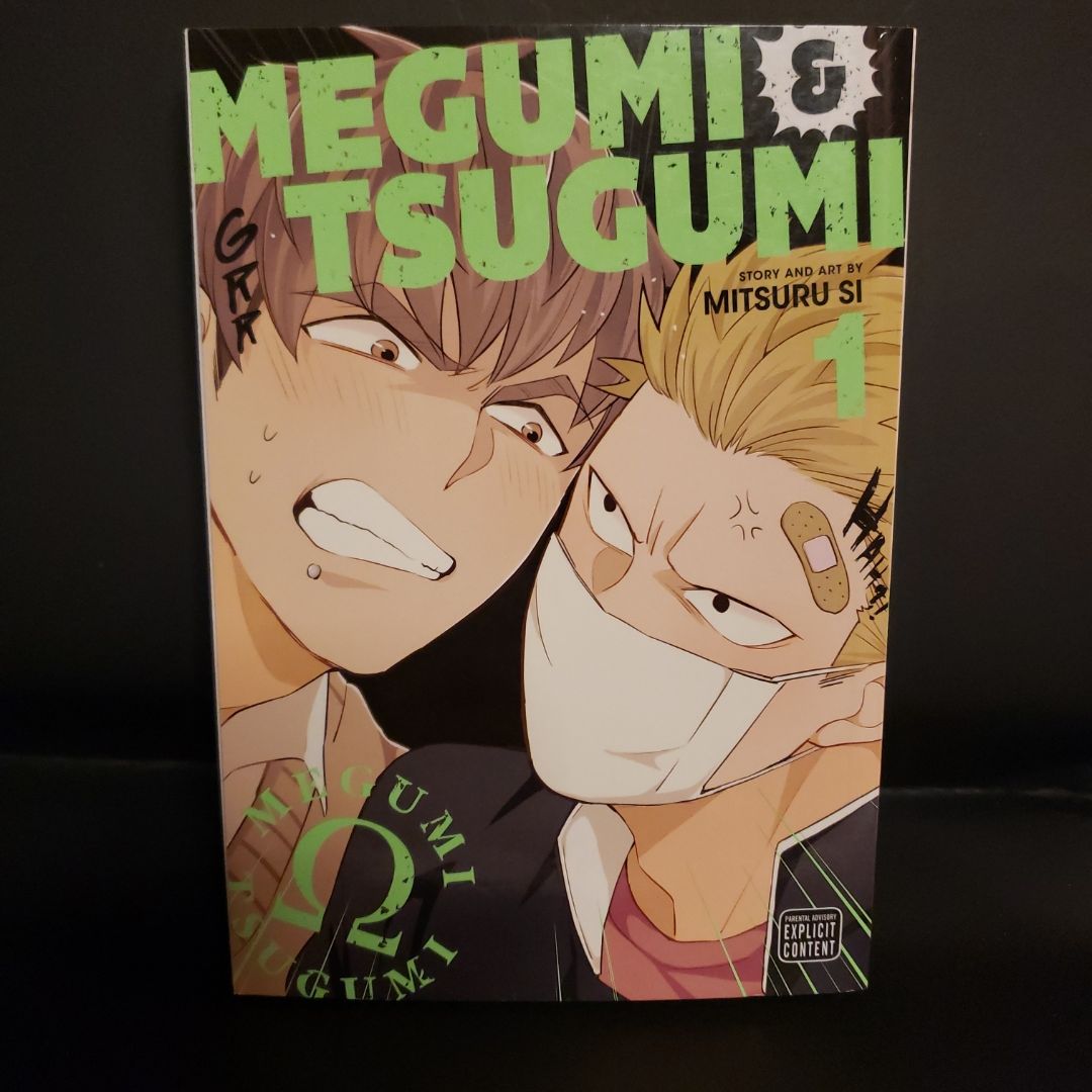 Megumi and Tsugumi, Vol. 1