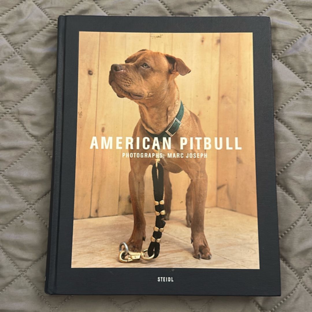 American Pitbull