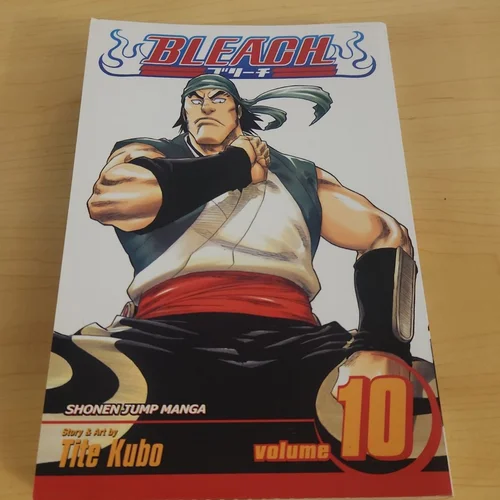Bleach, Vol. 10
