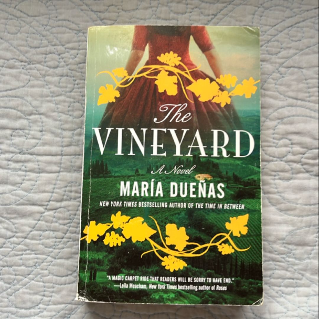 The Vineyard