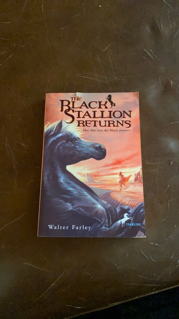 The Black Stallion Returns
