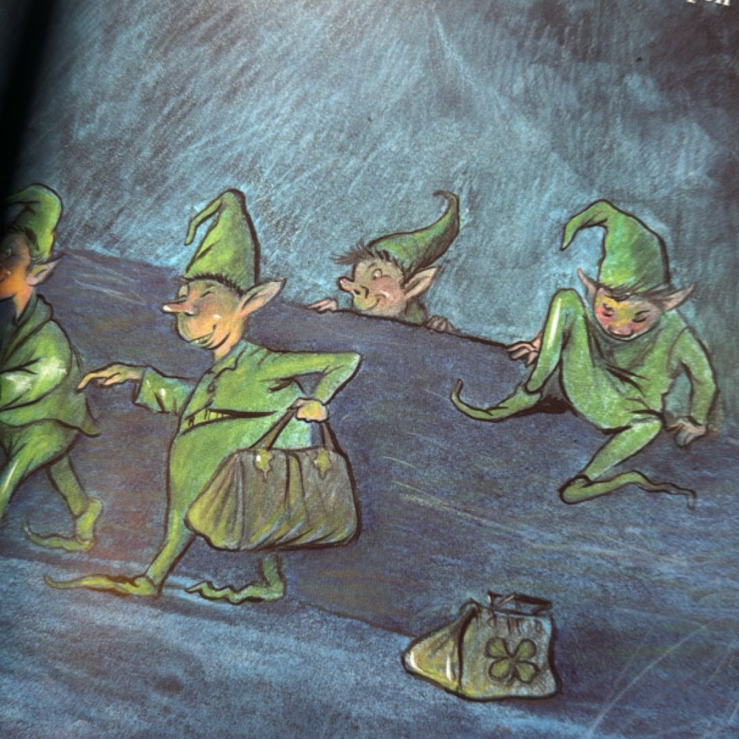 The Leprechaun's Gold by Pamela Duncan Edwards