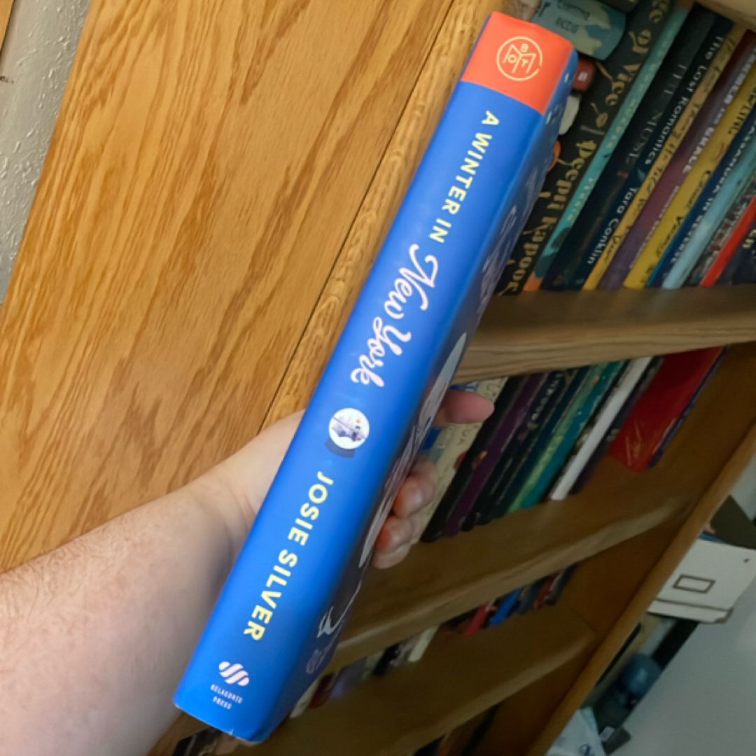 A Winter in New York