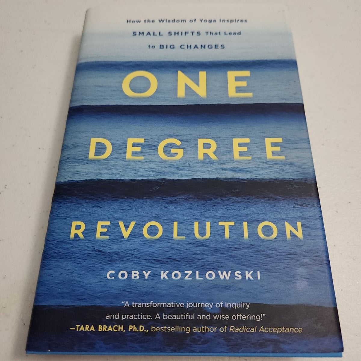 One Degree Revolution: How Small Shifts Lead to Big Changes by Coby ...