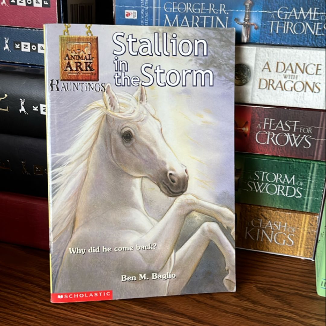 Stallion in the Storm