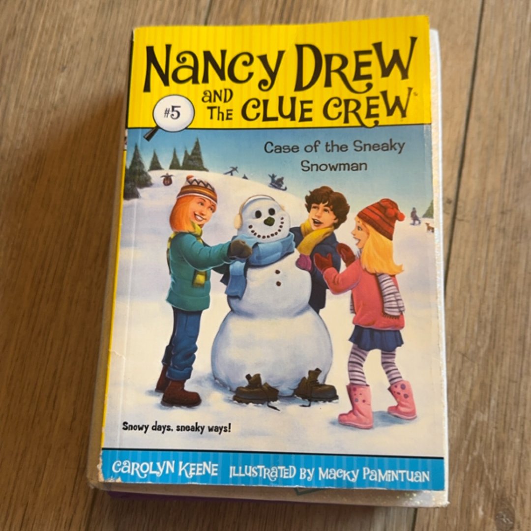 Case of the Sneaky Snowman