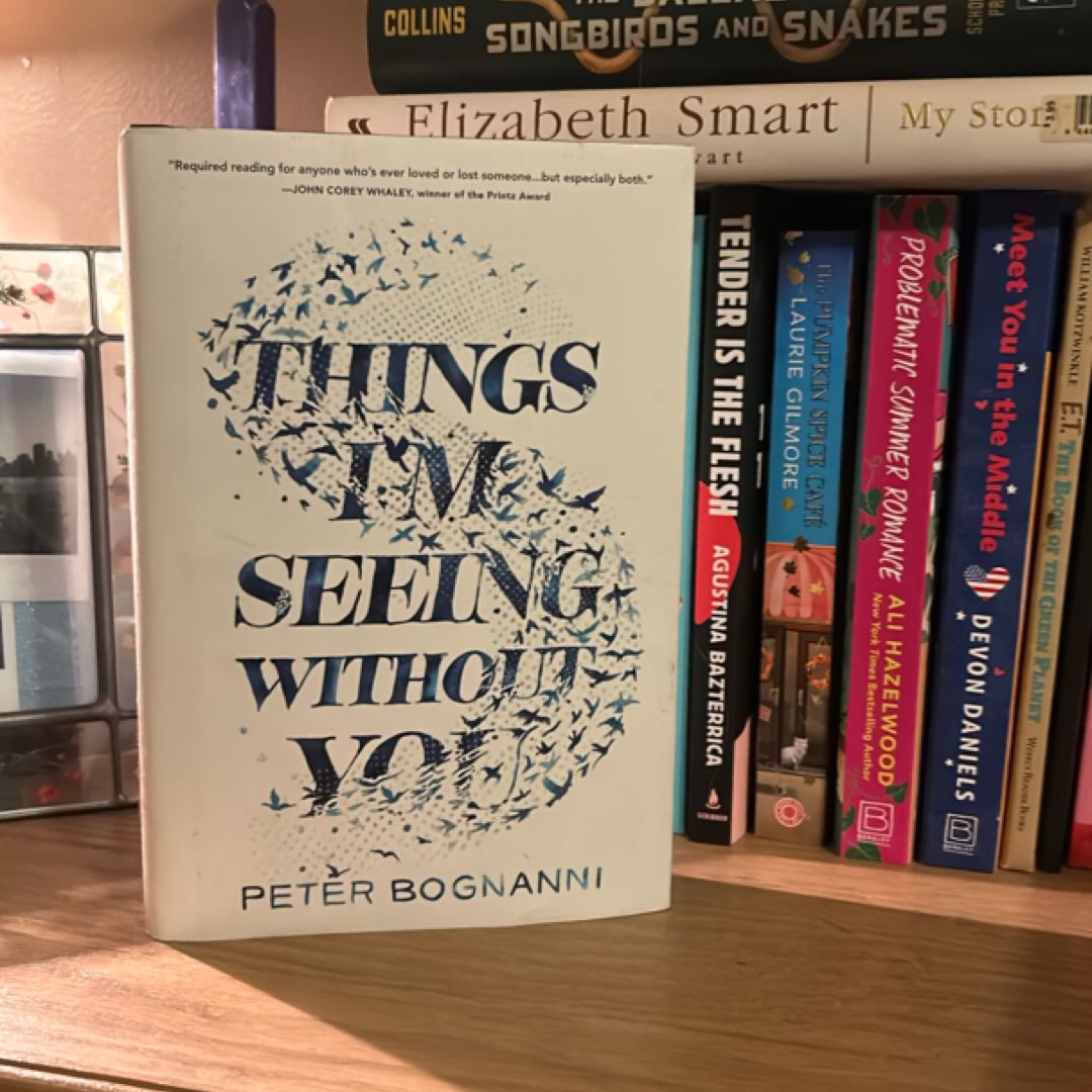 Things I'm Seeing Without You