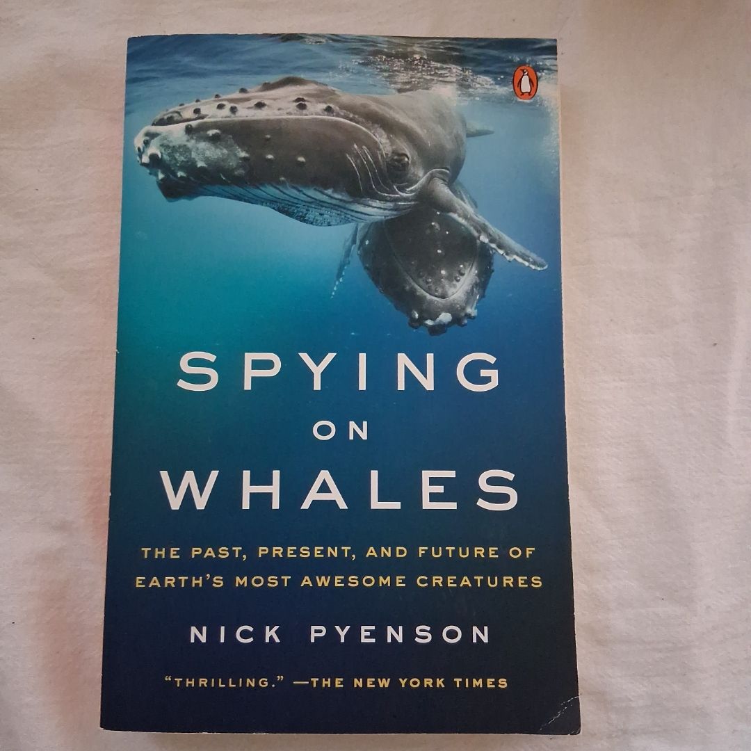 Spying on Whales