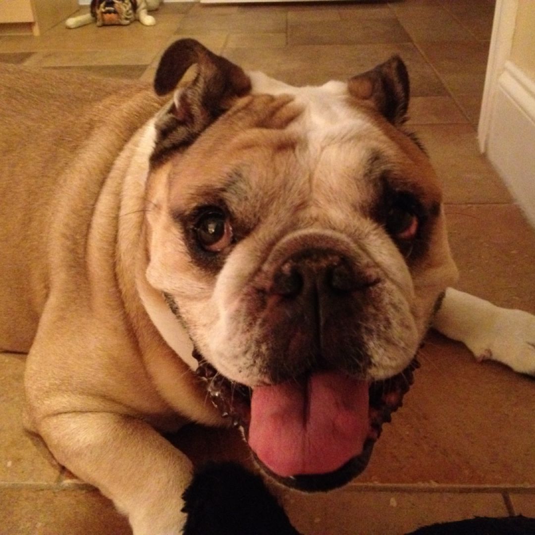 Lolita’s Literary Collection