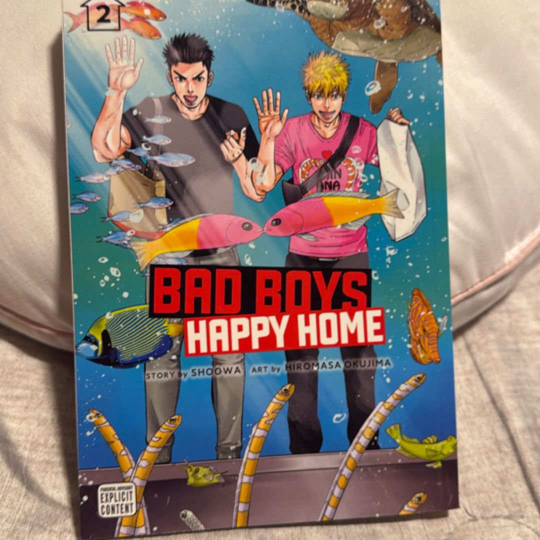 Bad Boys, Happy Home, Vol. 2