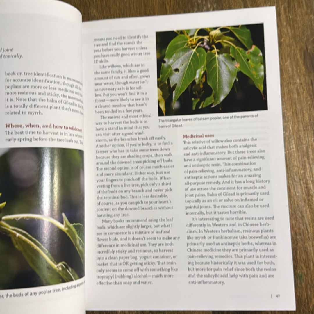 Southeast Medicinal Plants