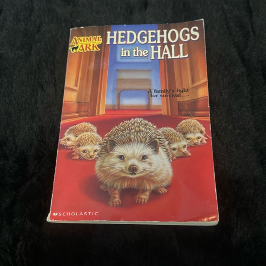 Hedgehogs in the Hall