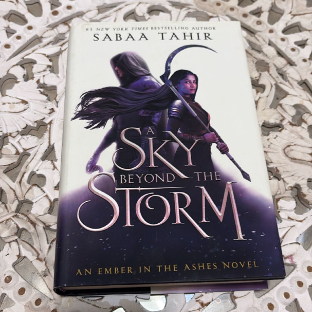 A Sky Beyond the Storm