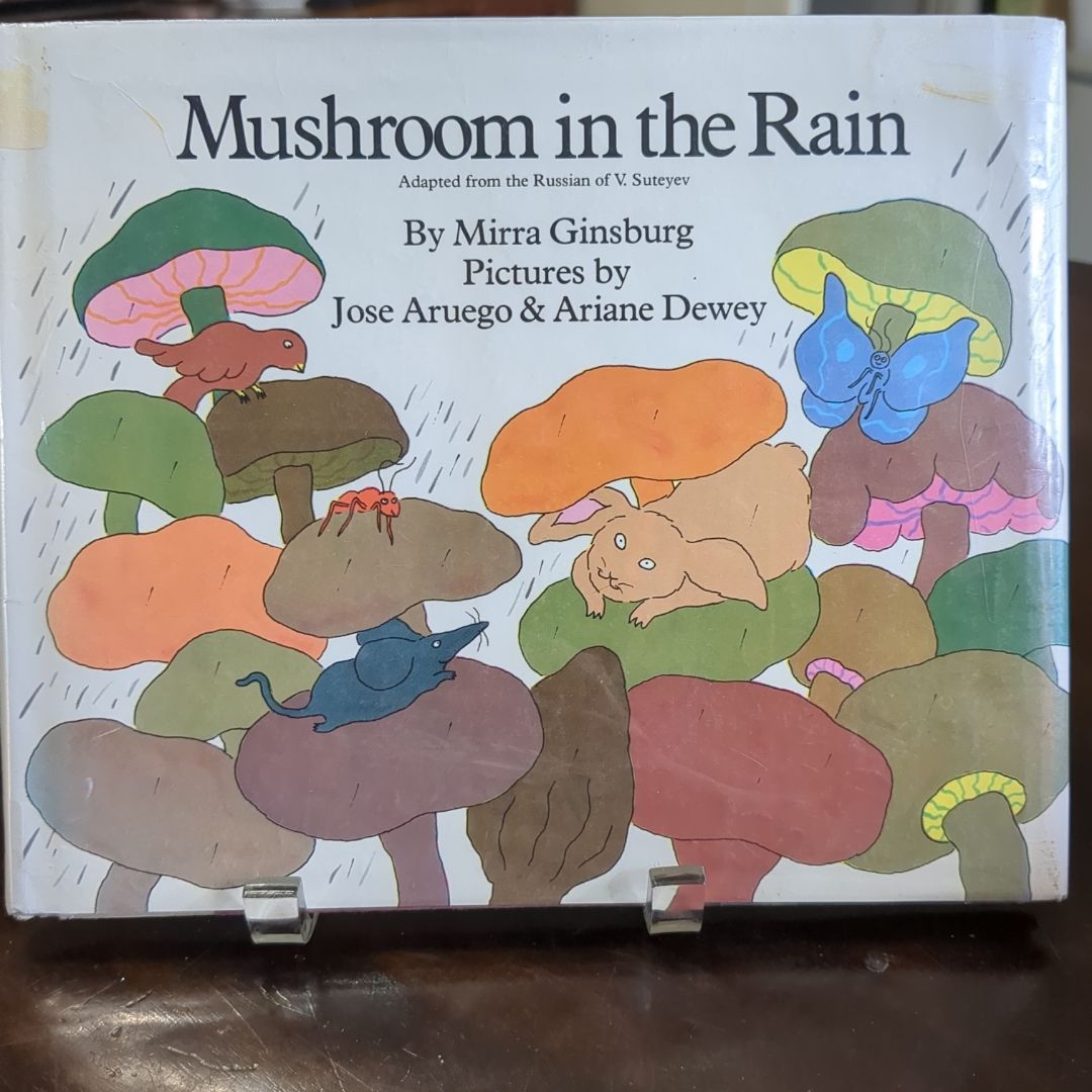 Mushroom in the Rain