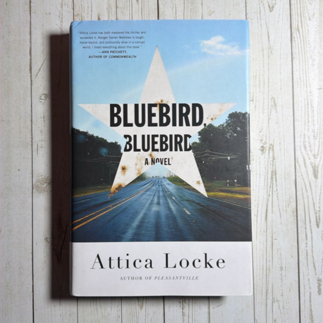 Bluebird, Bluebird